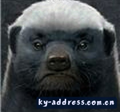 李女士
